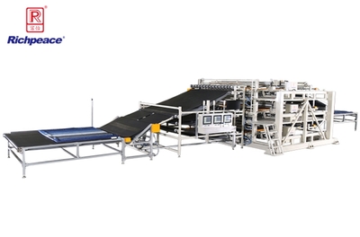 Трехрядная одноигольная стегальная машина Richpeace RPQP-NM-S3S-1-2500x2500-SDM-LS50-VR2-SBD,AO-3P380V